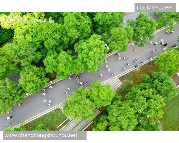 伤兵潮中曙光初现热苏斯回归训练能否助力阿森纳锋线重振